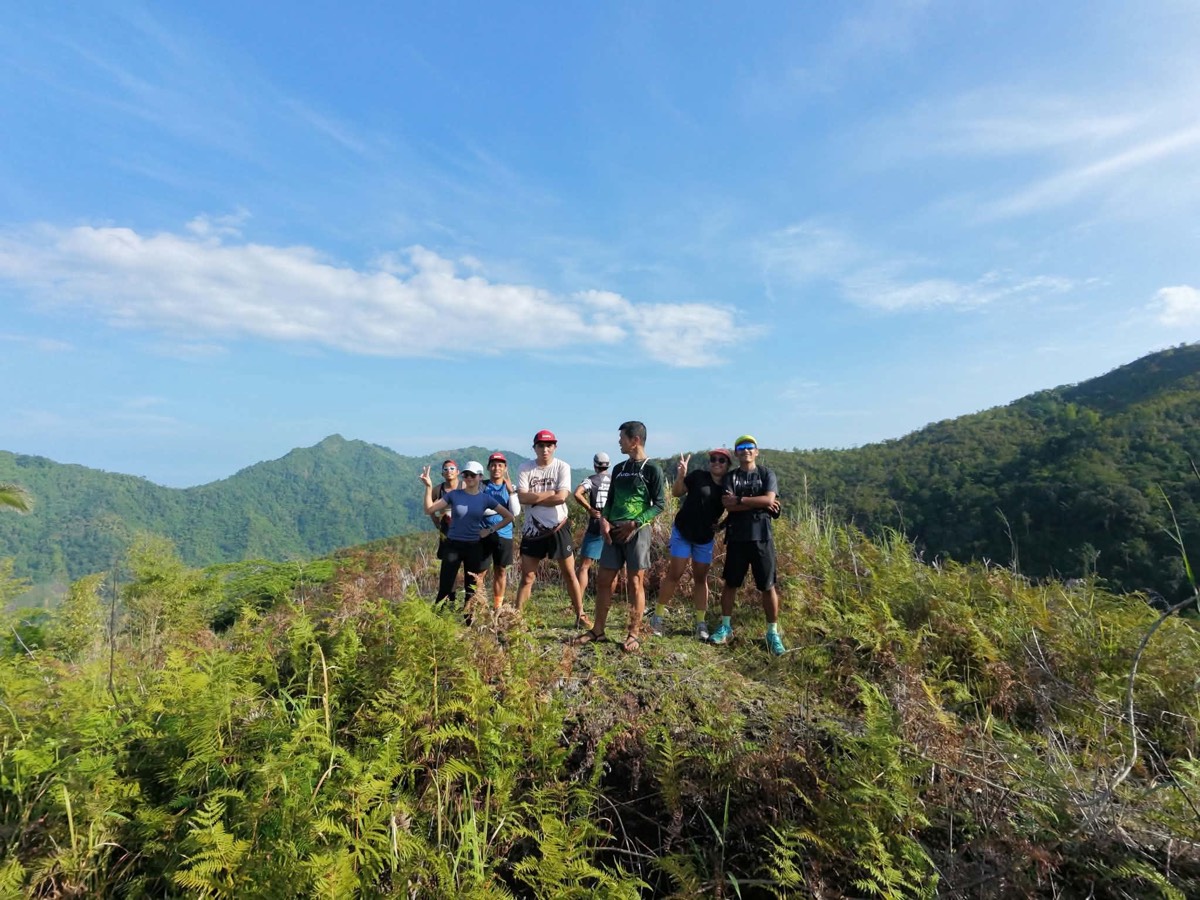 A group of trail runners on a fern-covered summit under a blue sky